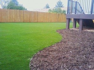 Turf and mulch